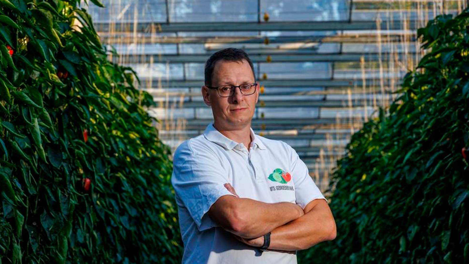 Kees Vahl in de kas van Tuinderij Vahl
